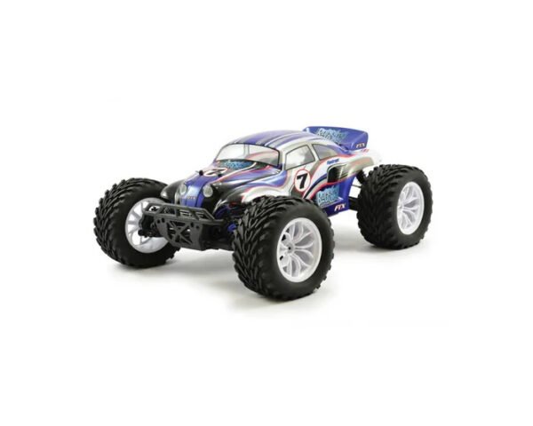 FTX Bugsta 1 10 4WD RC Buggy RTR