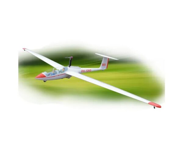 Phoenix Model ASK 21 6500mm ARF w SLS